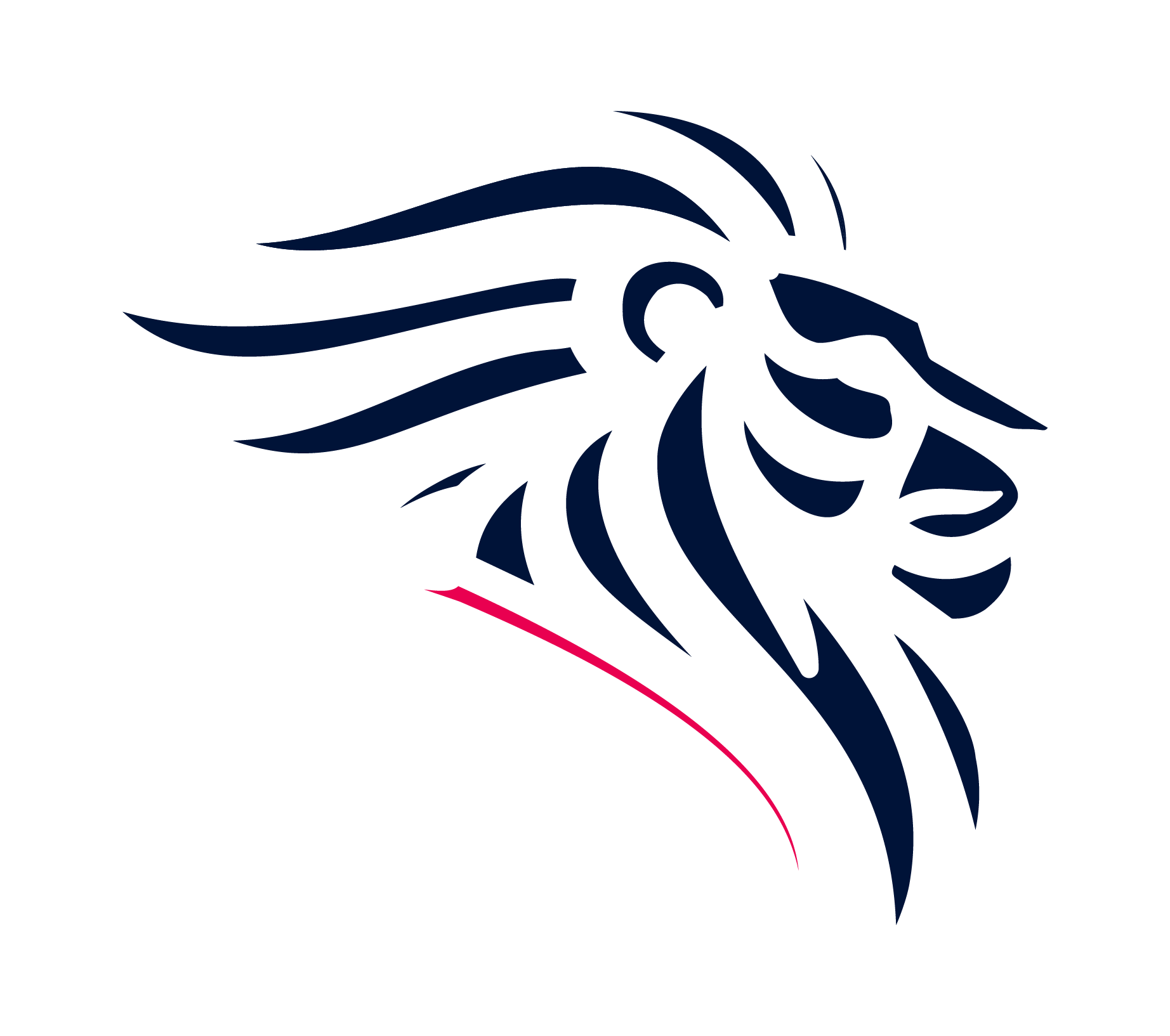 Leão escuro